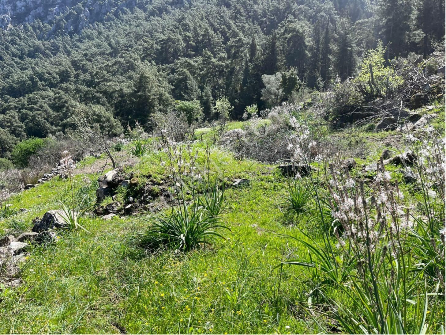 Marmaris Bayır'da Deniz Manzaralı-denize Yakın-nadir Yatırım Arazisi - Görsel 7