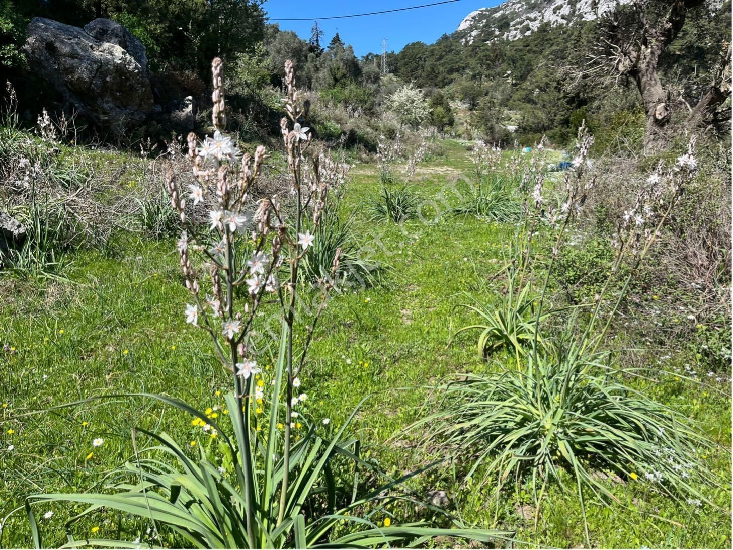 Marmaris Bayır'da Deniz Manzaralı-denize Yakın-nadir Yatırım Arazisi - Görsel 8