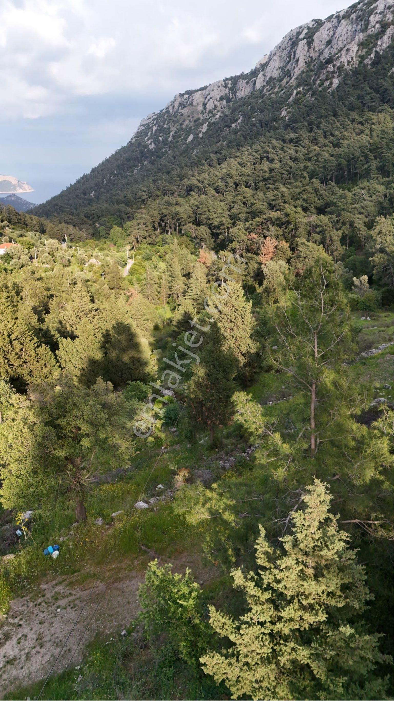 Marmaris Bayır'da Deniz Manzaralı-denize Yakın-nadir Yatırım Arazisi - Görsel 4