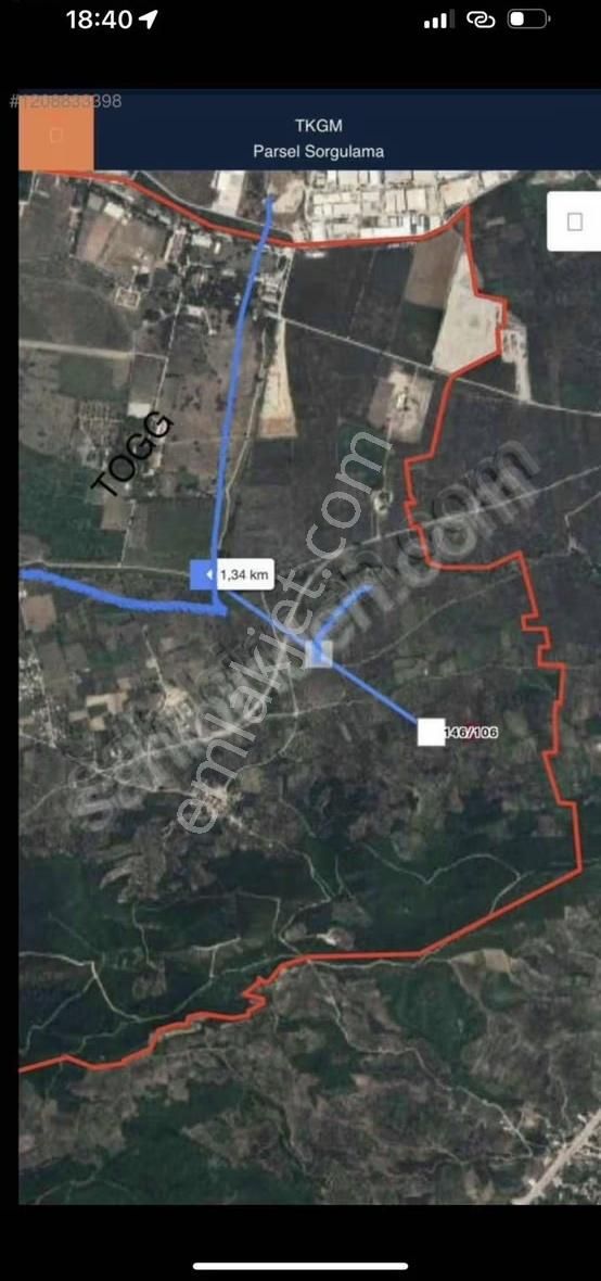 Fırsat Zeytinlik - Görsel 3