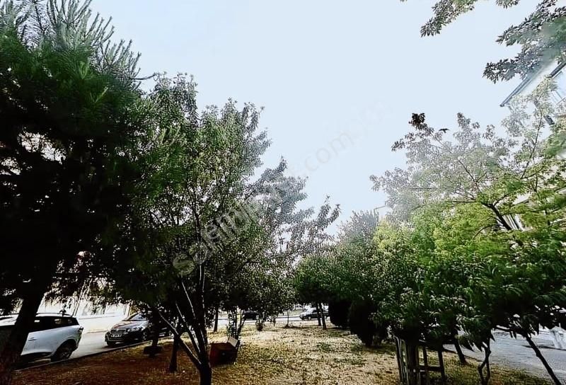 Dialog Piramit 3 Katlı 3 Ayrı Daire Komple Satılık Mustakil Ev - Görsel 11