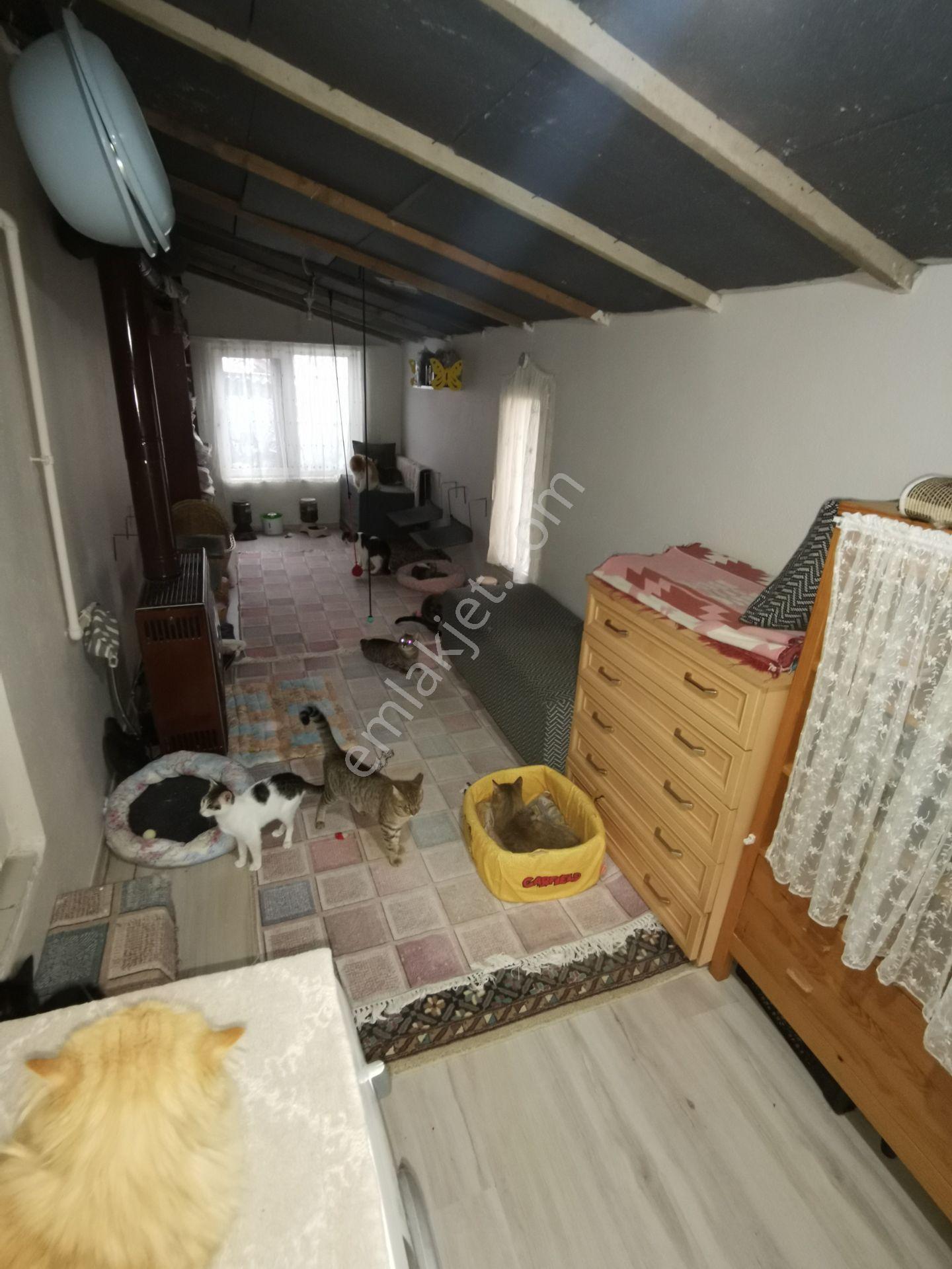 Silivri Kurfallı Satılık Müstakil Bahçeli Ev 284m2 Arsa 2+1 100m2 Ev - Görsel 31