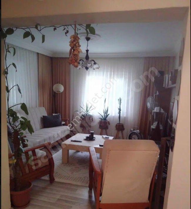 Silivri Kurfallı Satılık Müstakil Bahçeli Ev 284m2 Arsa 2+1 100m2 Ev - Görsel 16