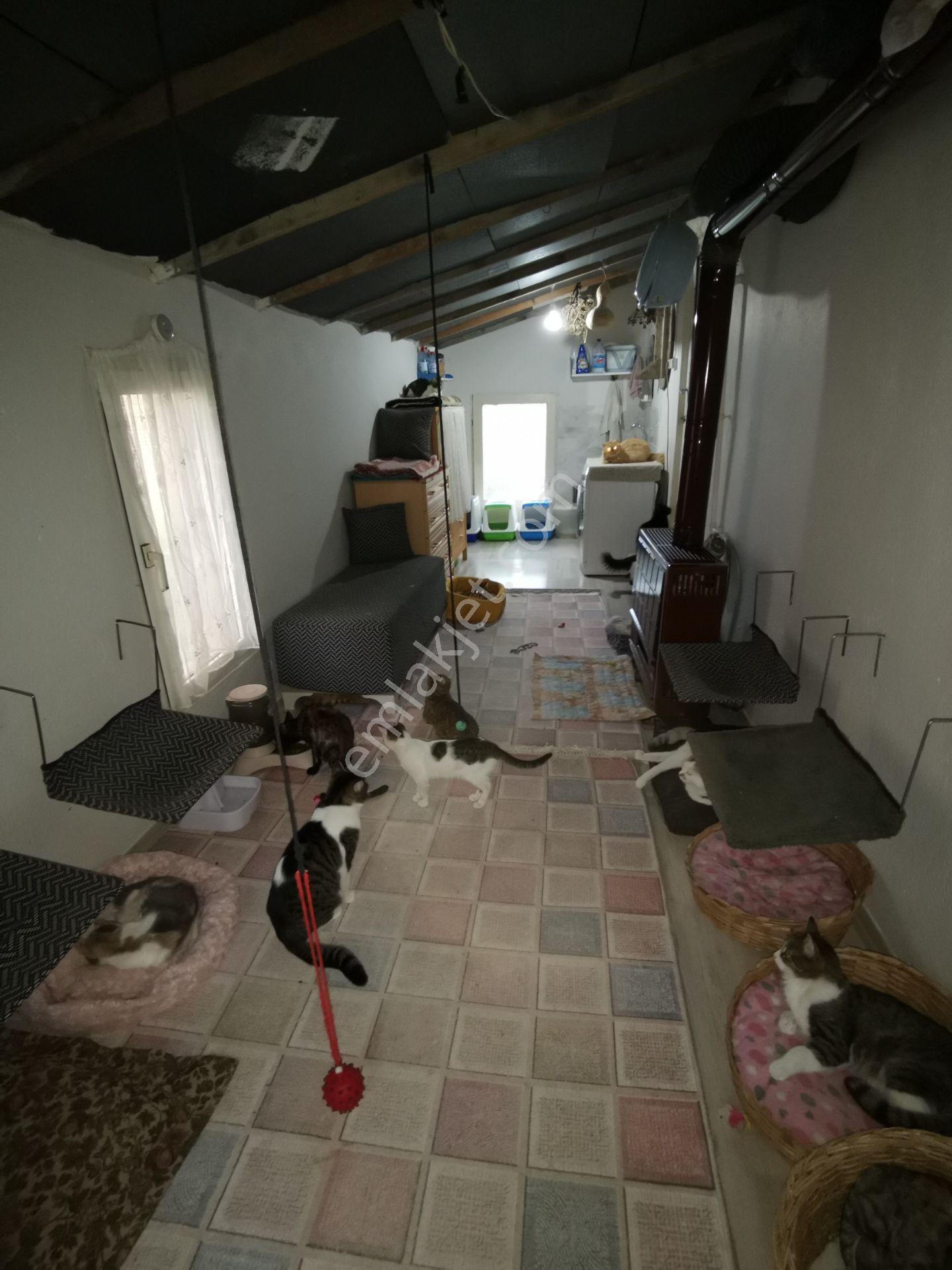 Silivri Kurfallı Satılık Müstakil Bahçeli Ev 284m2 Arsa 2+1 100m2 Ev - Görsel 28