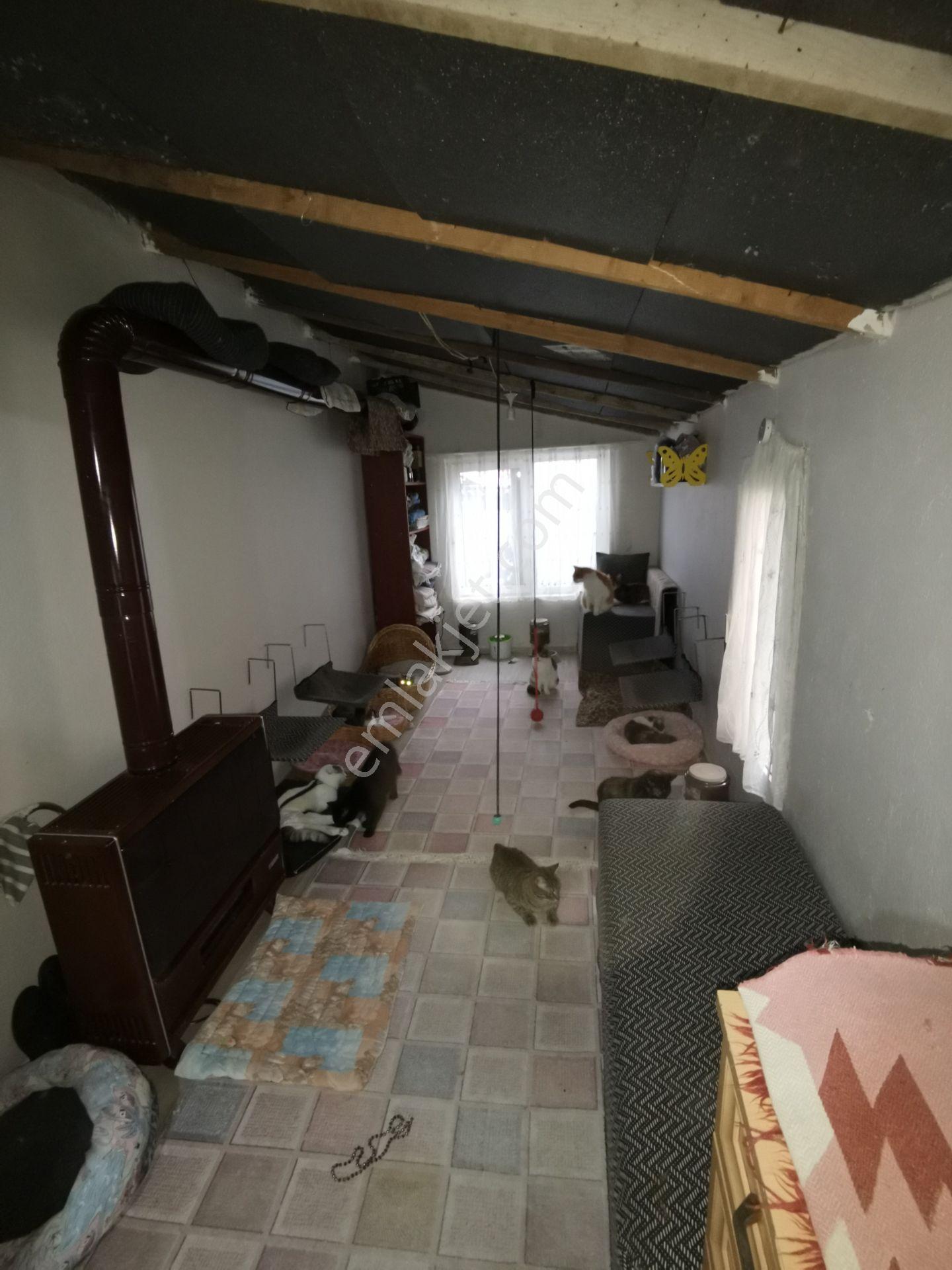 Silivri Kurfallı Satılık Müstakil Bahçeli Ev 284m2 Arsa 2+1 100m2 Ev - Görsel 27