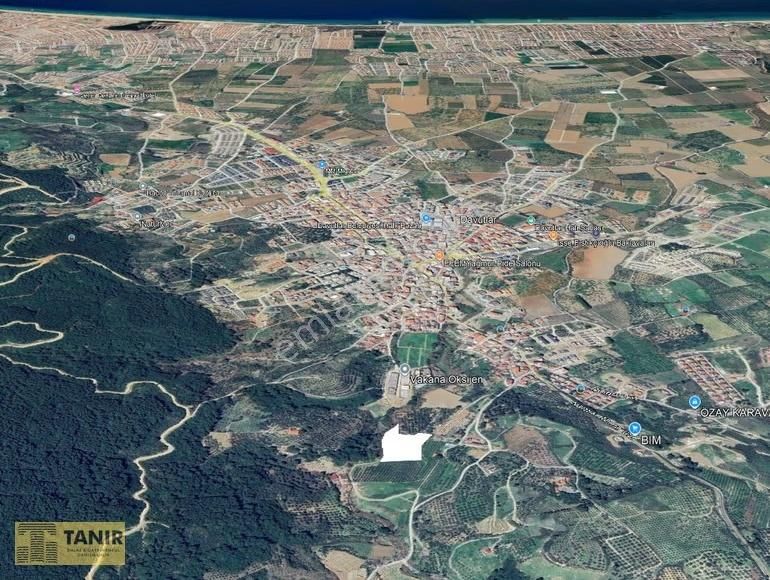 Kuşadası Davutlar Merkez İmara Sıfır Tarla - Görsel 2