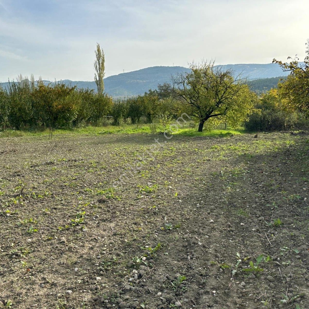 Sakarya / Geyve / Doğantepe Mahallesi Köy Merkezinde Satılık 697 M² Arsa - Görsel 9