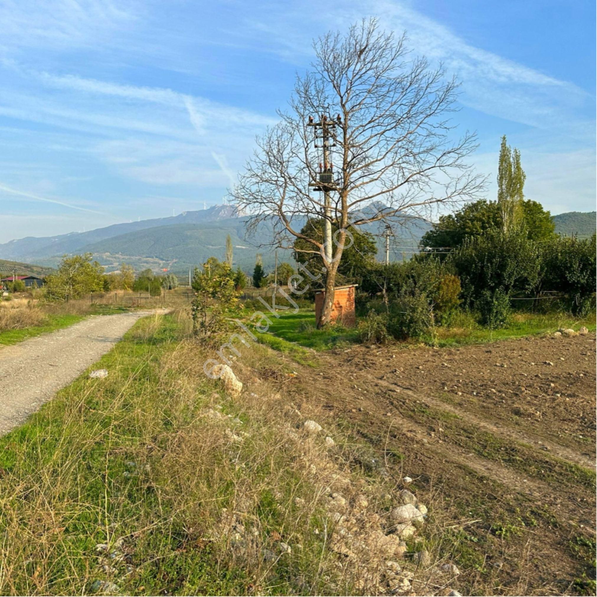 Sakarya / Geyve / Doğantepe Mahallesi Köy Merkezinde Satılık 697 M² Arsa - Görsel 6