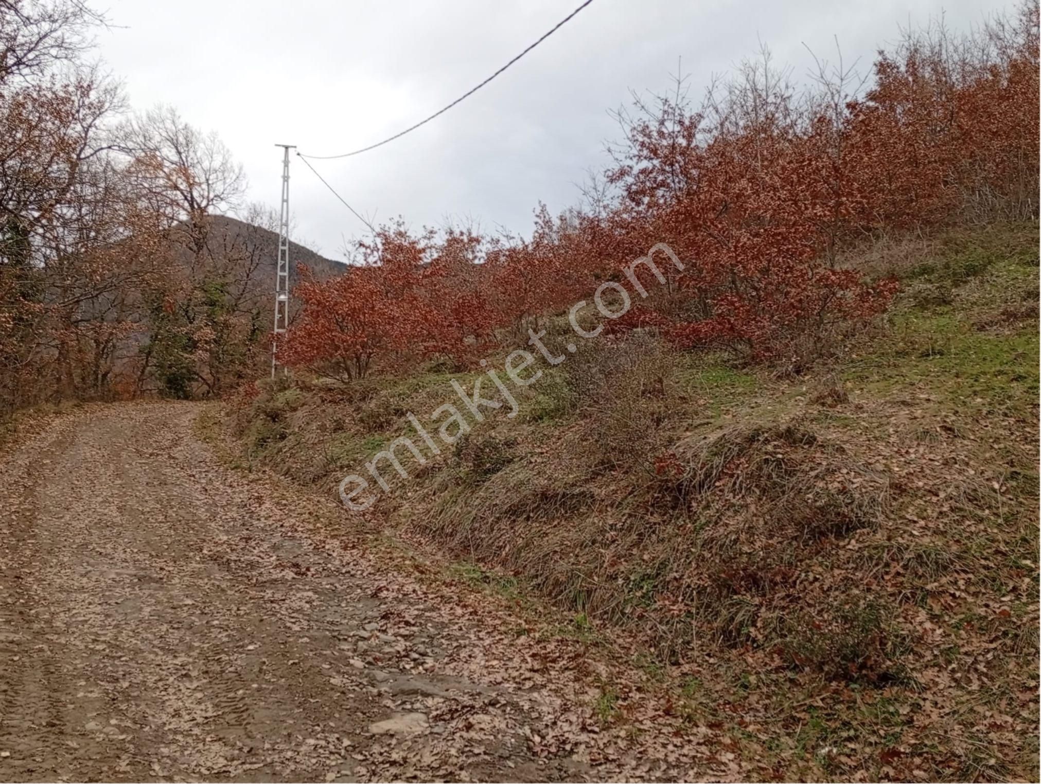 Sakarya / Geyve Menekşesolak’ta Yola Cepheli, İçinde, Manzaralı 1530 M² Arsa - Görsel 4