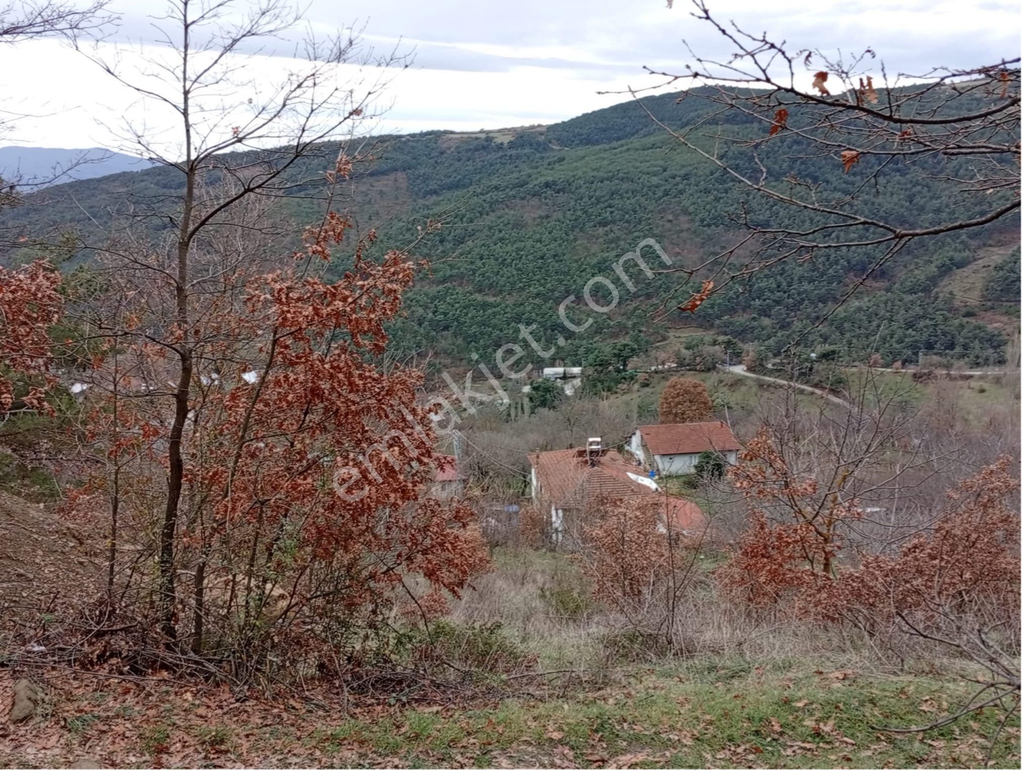 Sakarya / Geyve Menekşesolak’ta Yola Cepheli, İçinde, Manzaralı 1530 M² Arsa - Görsel 2