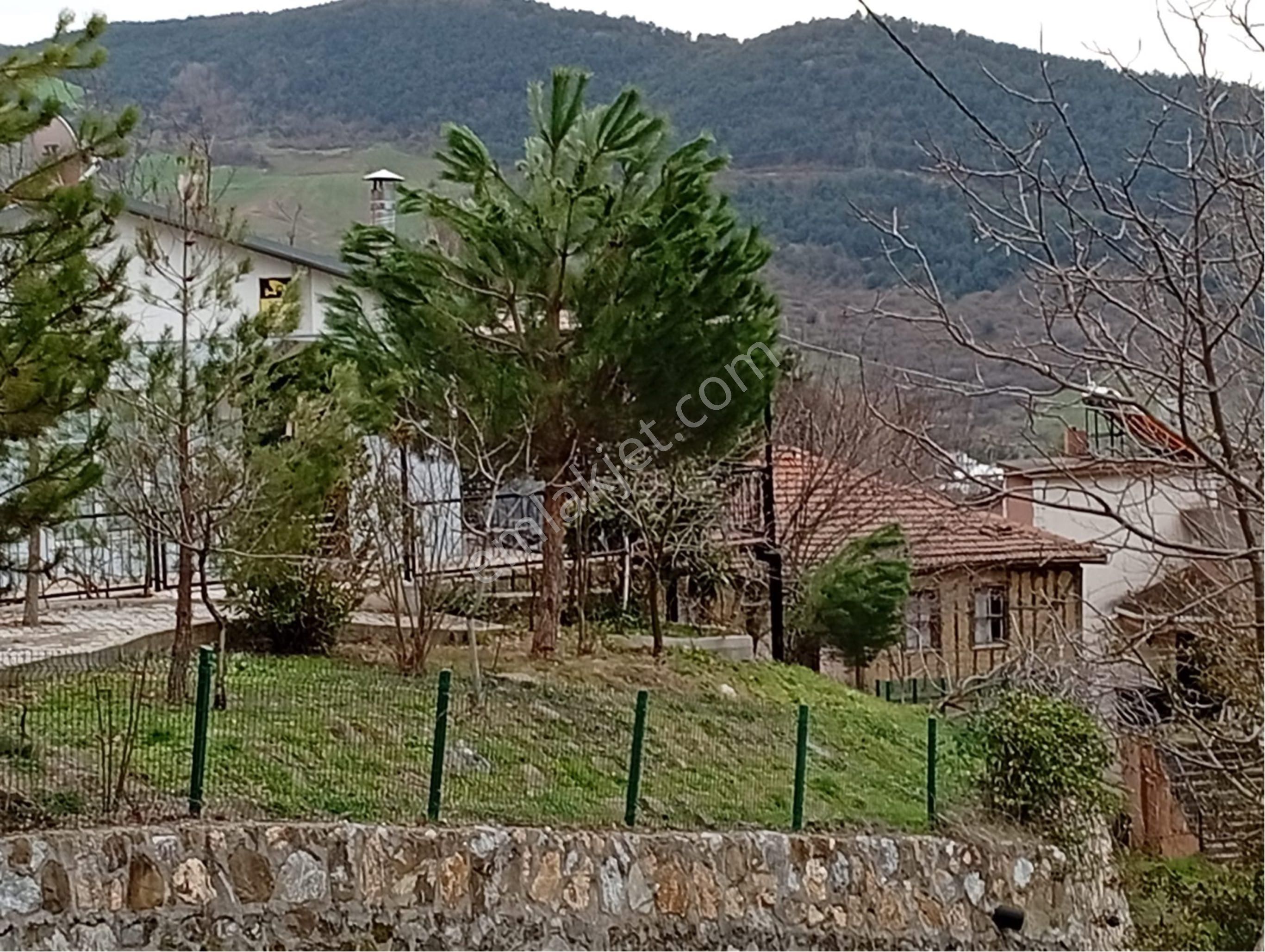 Sakarya / Geyve Menekşesolak’ta Yola Cepheli, İçinde, Manzaralı 1530 M² Arsa - Görsel 7