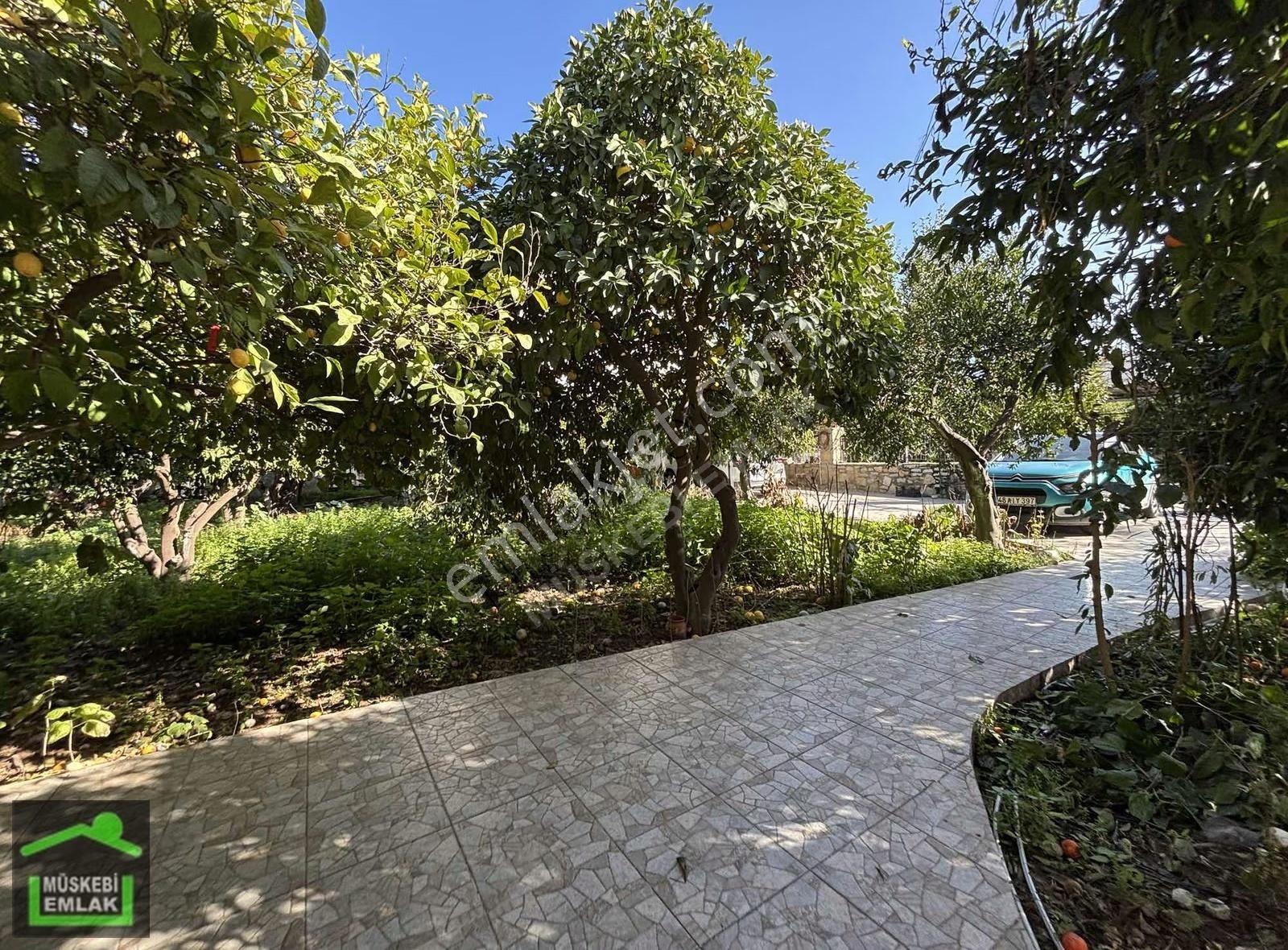 Ortakent Merkezde Mandalin Bahçesi İçinde 3+1 Tek Kat Taş Ev - Görsel 17