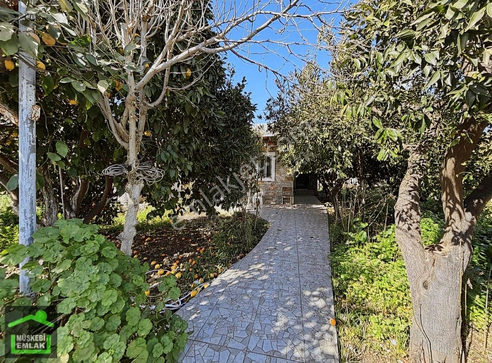 Ortakent Merkezde Mandalin Bahçesi İçinde 3+1 Tek Kat Taş Ev - Görsel 8