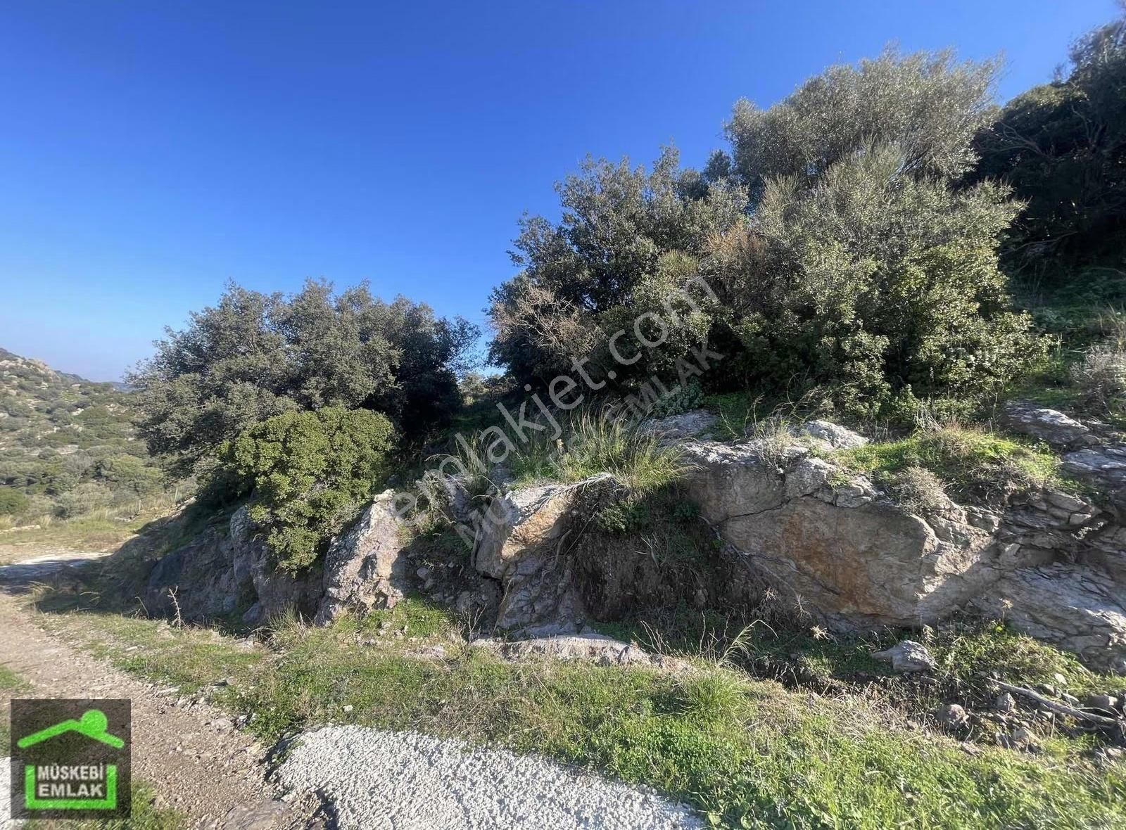 Bodrum Yakaköyde Satılık Yatırımlık Tarla - Görsel 3