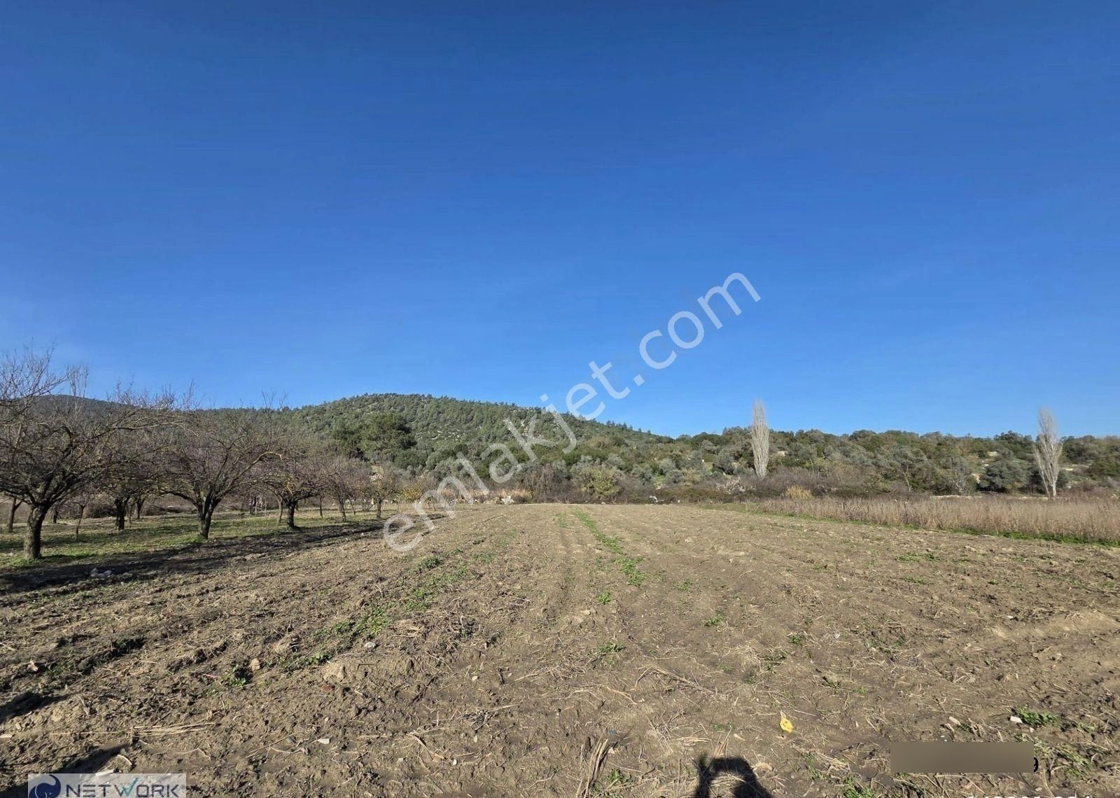 Kuşadası Kirazlı Köyünde İfrazı Yapılmış Tarla - Görsel 3