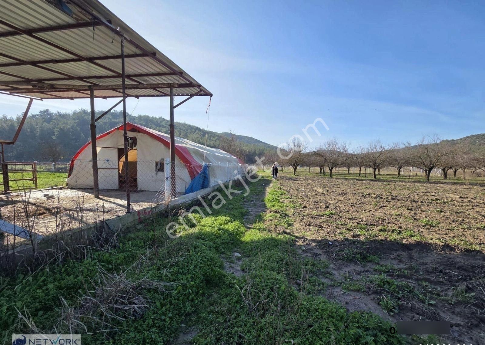 Kuşadası Kirazlı Köyünde İfrazı Yapılmış Tarla - Görsel 2