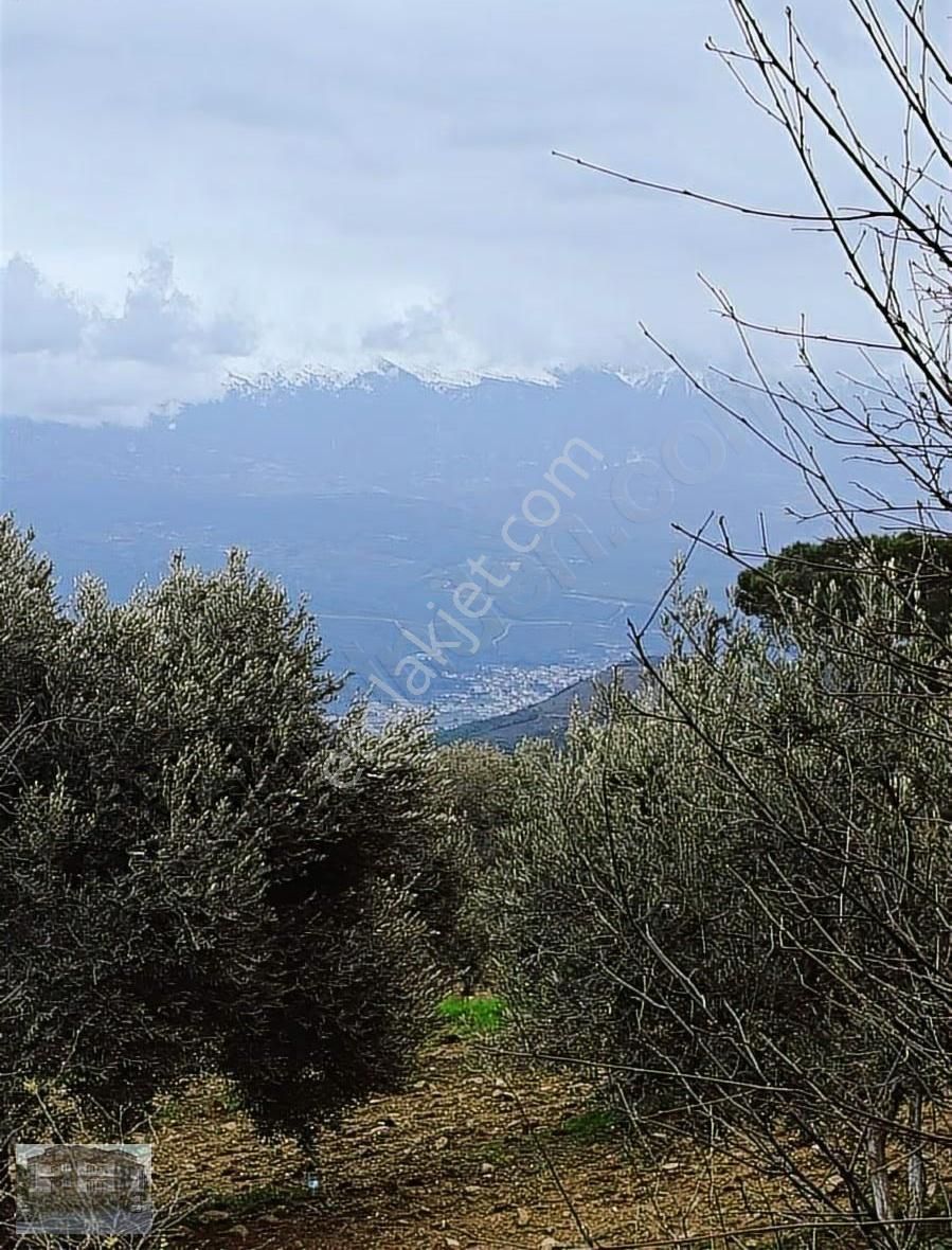 Muğla/seydikemer/zorlarda Satılık Müstakil Tarla - Görsel 20
