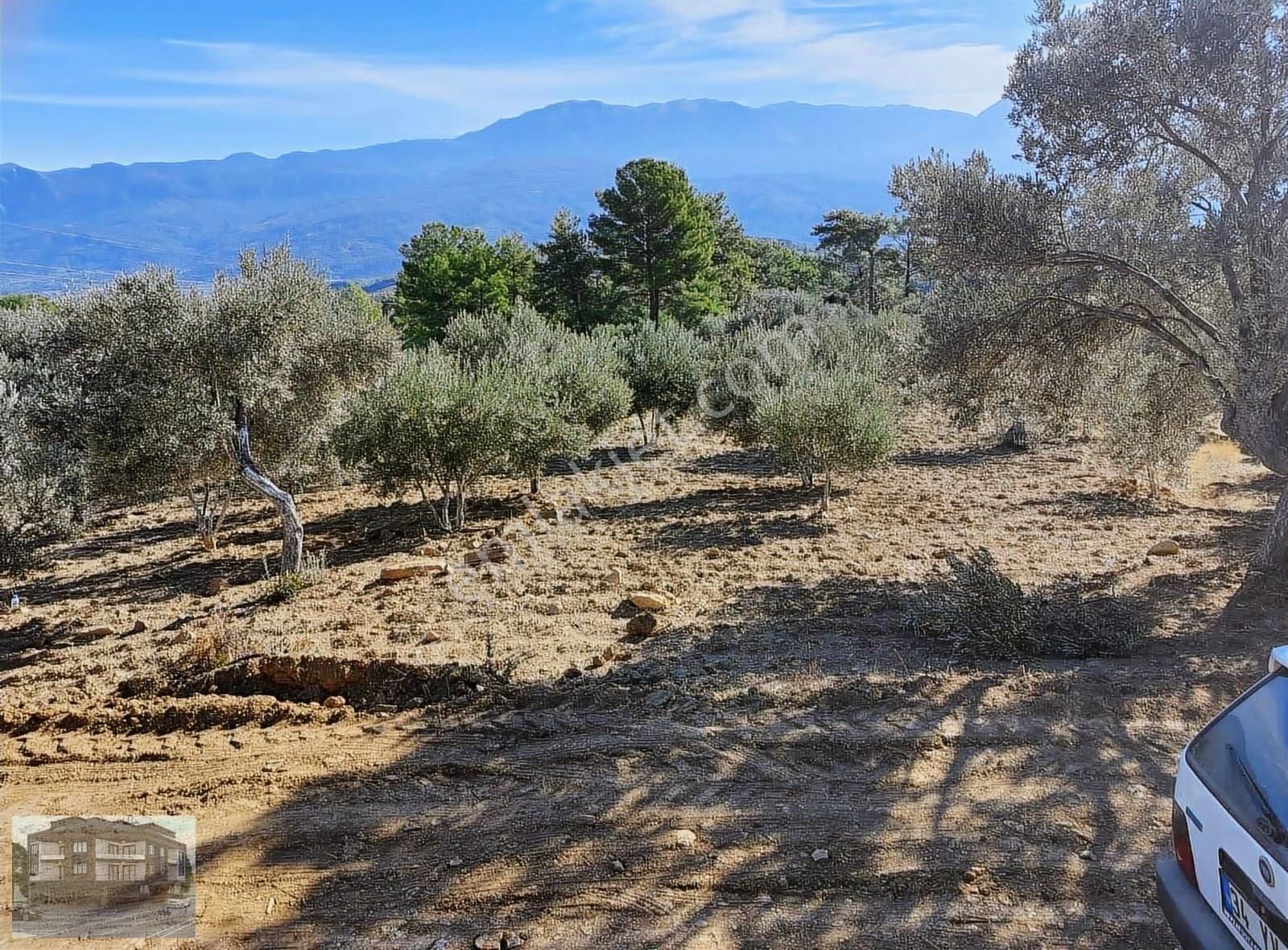Muğla/seydikemer/zorlarda Satılık Müstakil Tarla - Görsel 26