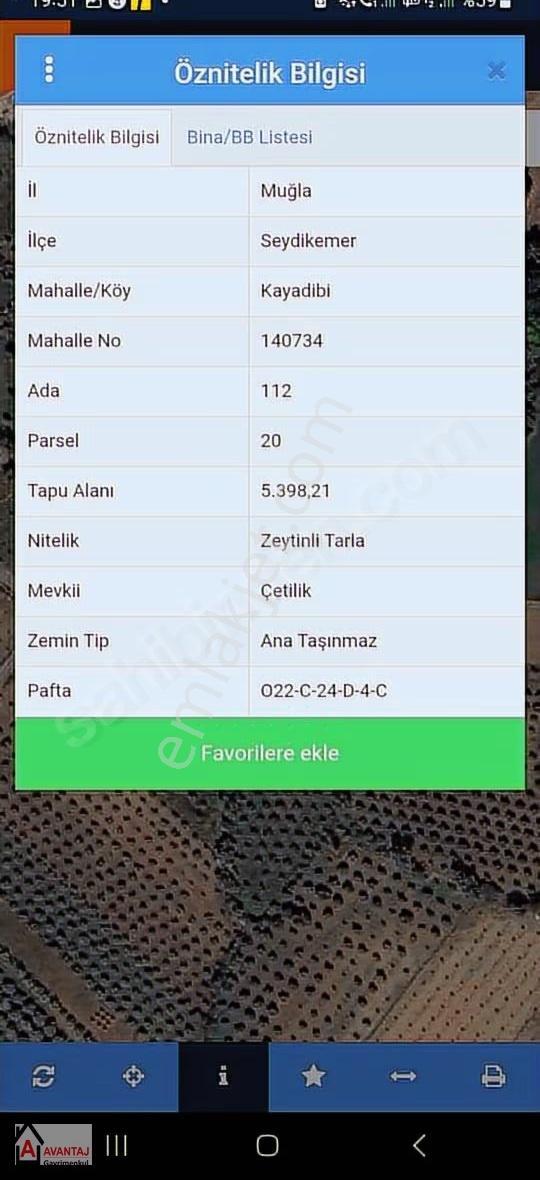 Kayadibi'nde 5.398 M2 Zeytinlik - Görsel 16