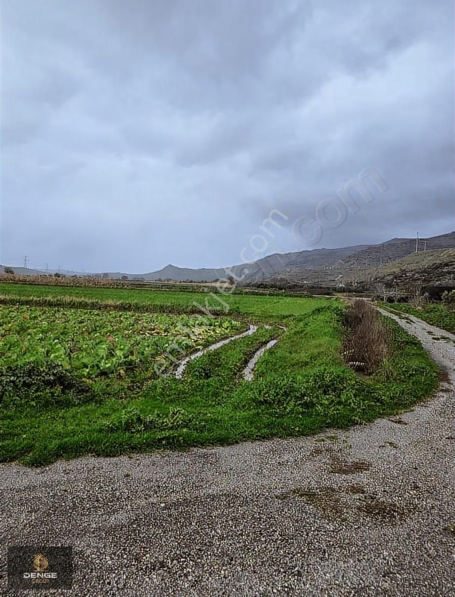 İmara Bitişik Bahçe Yanikkoy De - Görsel 20