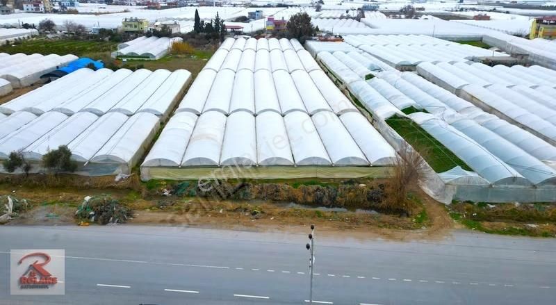 Sahile Sıfır 6800 M2 Kullanım Alanlı 3.997 M2 Tapulu Sera - Görsel 3