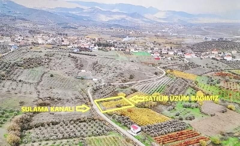 Pamukova Şeyhvarmaz Mahallesinde Yerleşime Yakın 645m² Üzüm Bağı - Görsel 2