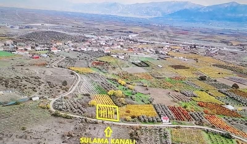 Pamukova Şeyhvarmaz Mahallesinde Yerleşime Yakın 645m² Üzüm Bağı