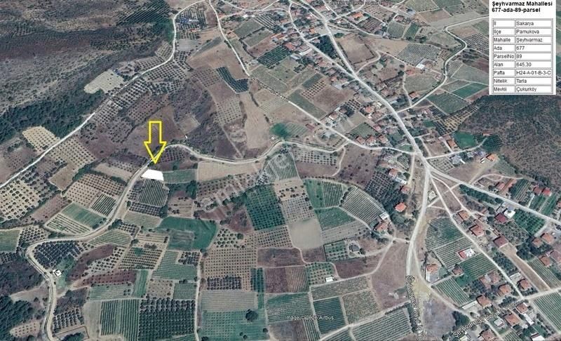 Pamukova Şeyhvarmaz Mahallesinde Yerleşime Yakın 645m² Üzüm Bağı - Görsel 3