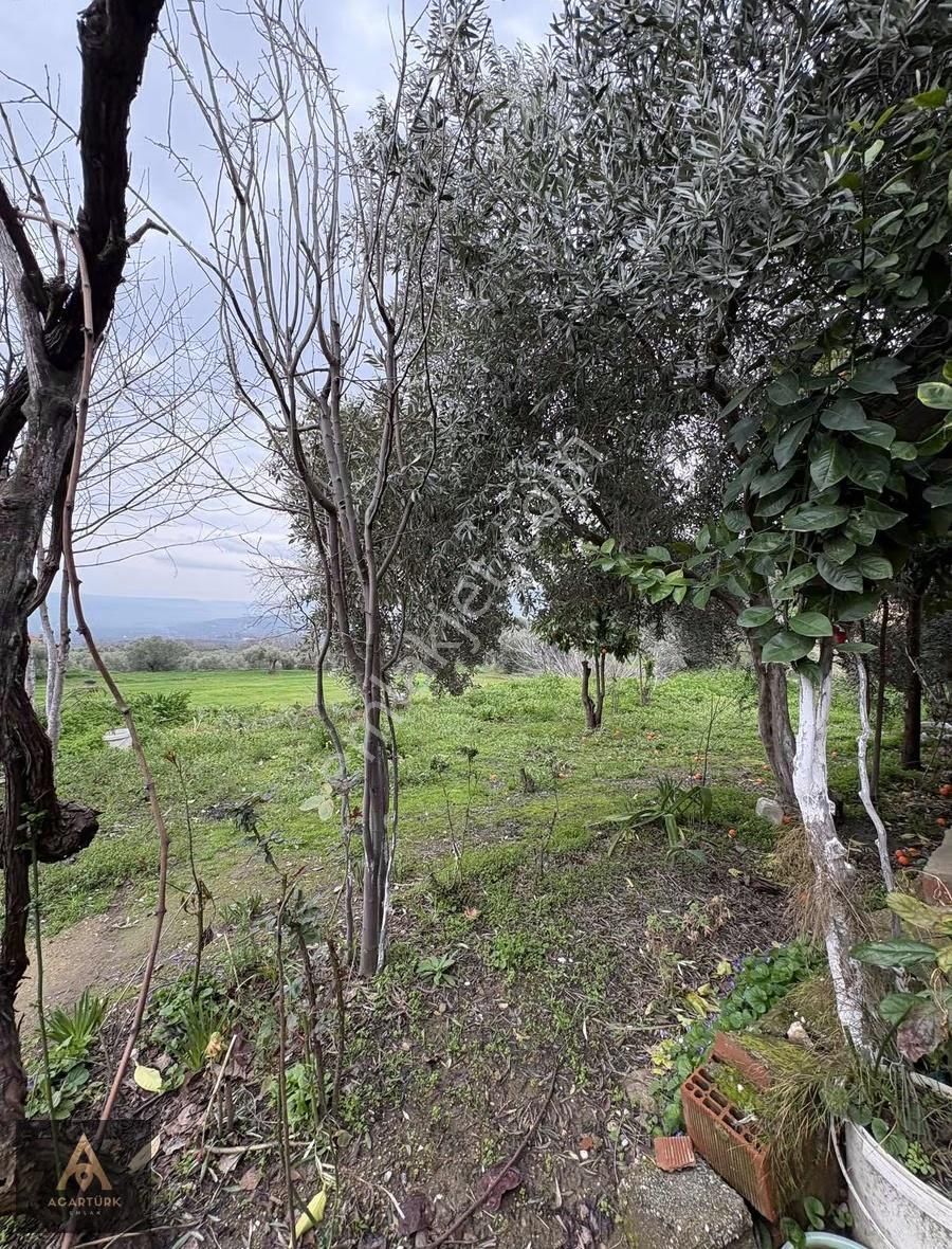 Pınarlı'da 1.5 Dönüm Arsa İçinde 2 Katlı Müstakil Ev - Görsel 7