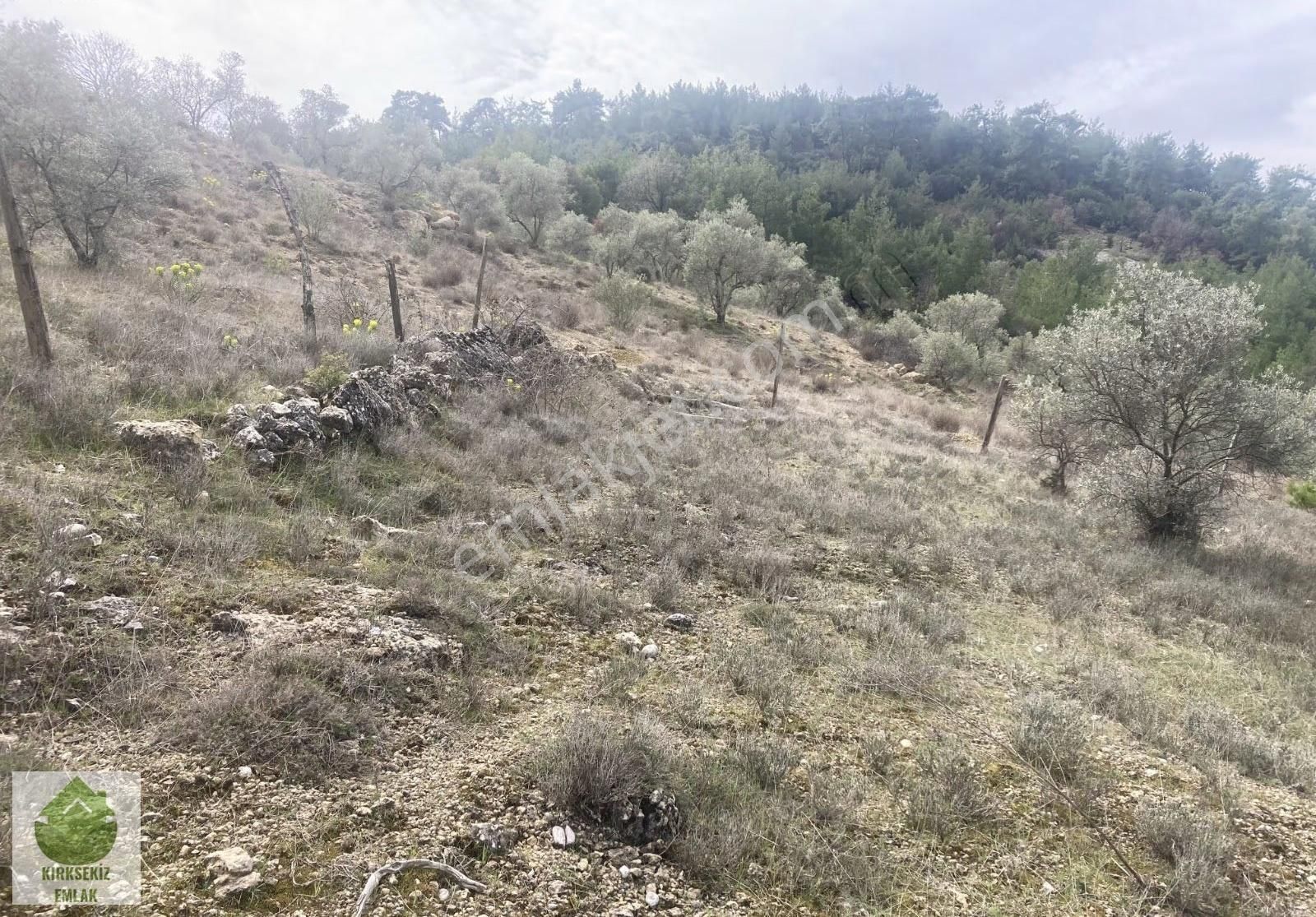Muğla Menteşe Denizovada 2.233 M² Satılık Tarla... - Görsel 30