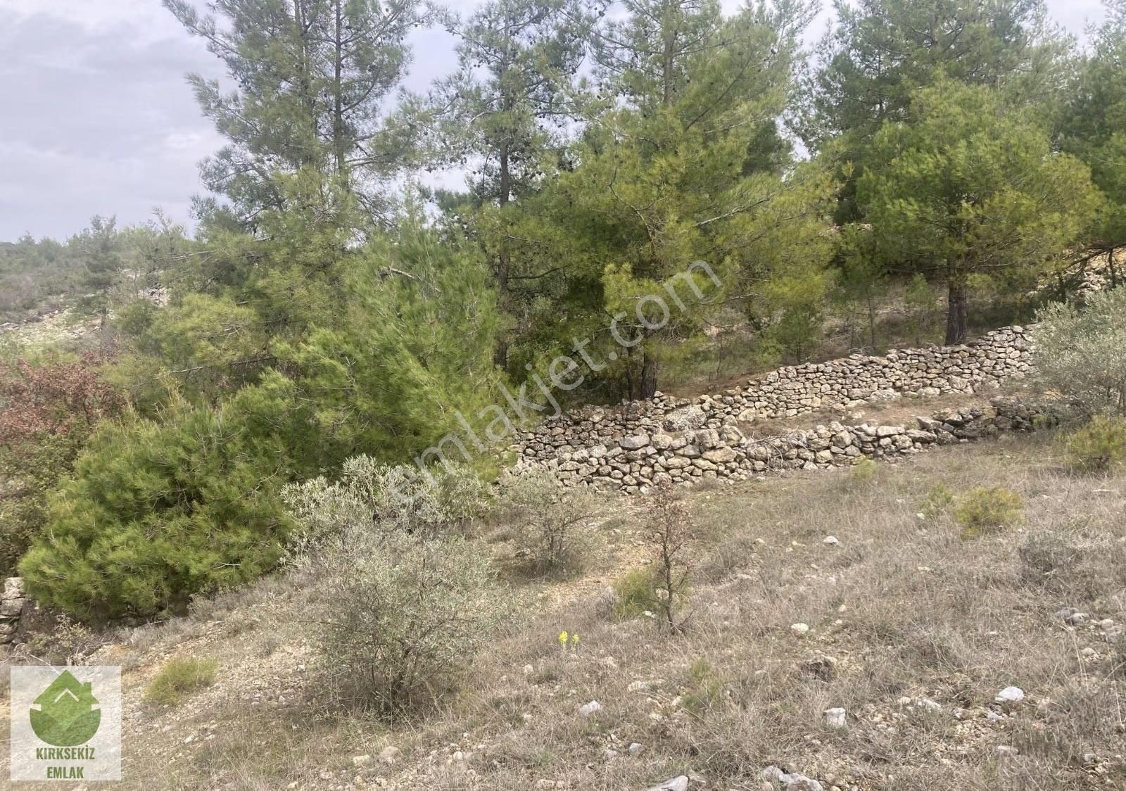 Muğla Menteşe Denizovada 2.233 M² Satılık Tarla... - Görsel 26