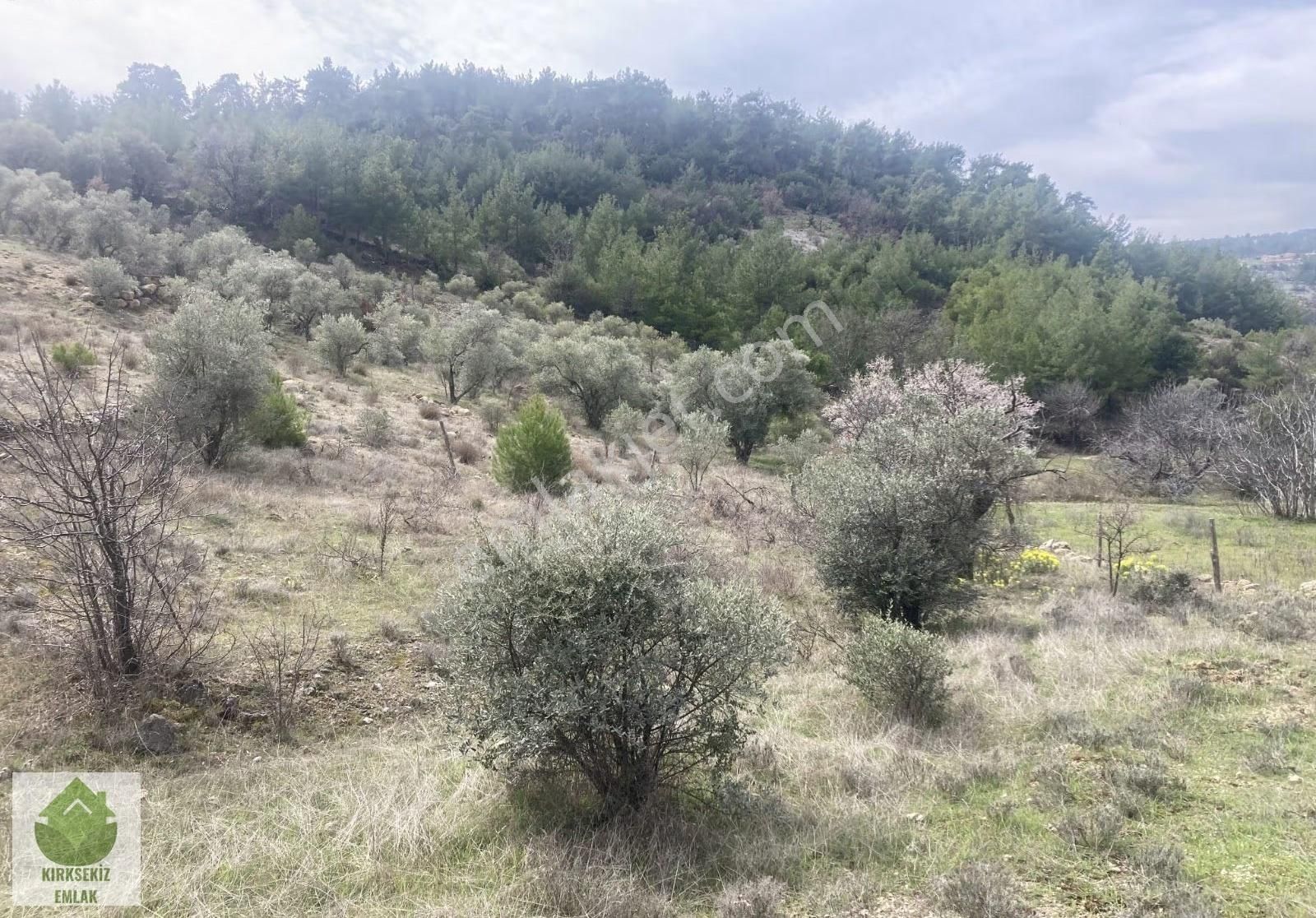 Muğla Menteşe Denizovada 2.233 M² Satılık Tarla... - Görsel 24