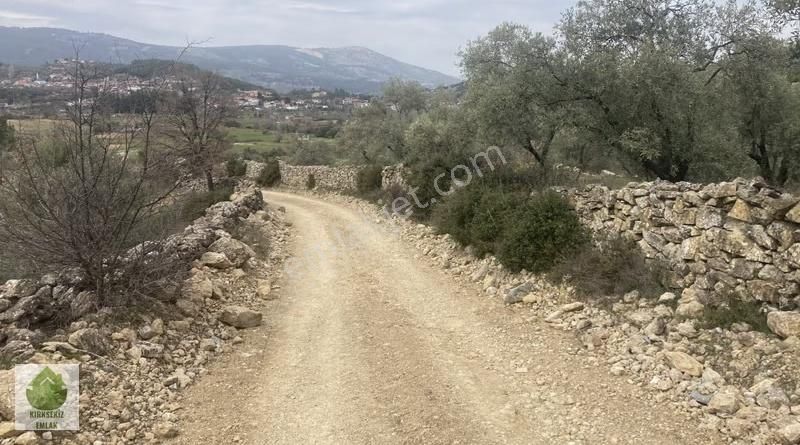 Muğla Menteşe Denizovada 2.233 M² Satılık Tarla...