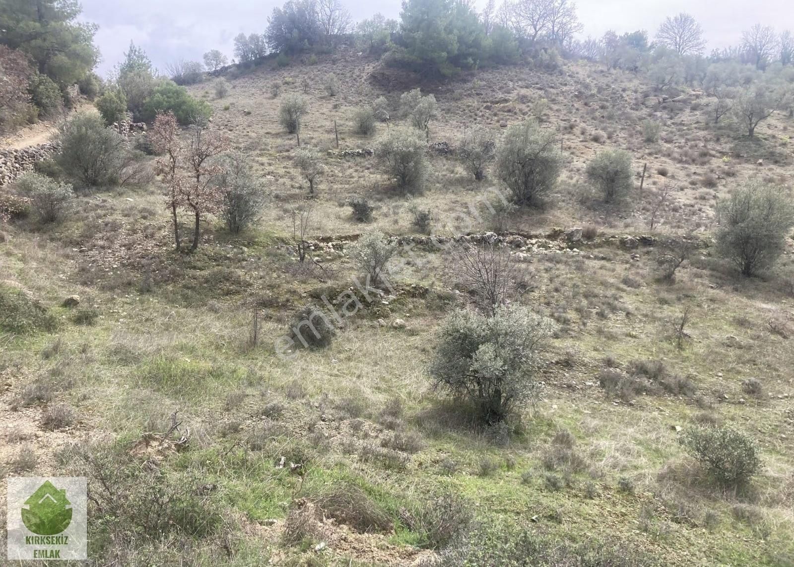 Muğla Menteşe Denizovada 2.233 M² Satılık Tarla... - Görsel 32