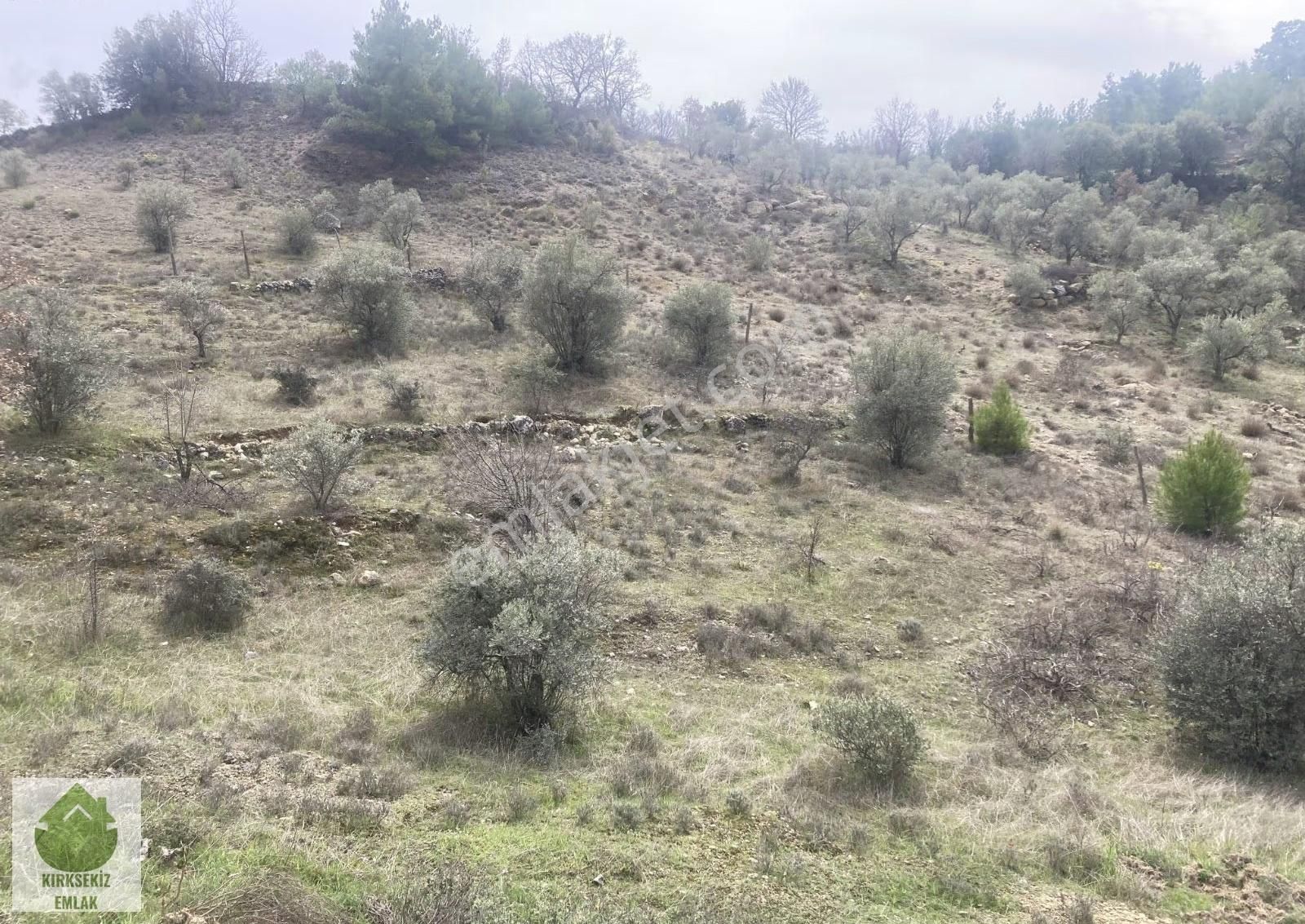 Muğla Menteşe Denizovada 2.233 M² Satılık Tarla... - Görsel 31