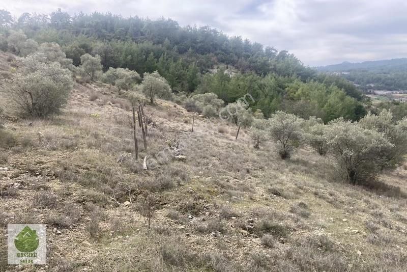 Muğla Menteşe Denizovada 2.233 M² Satılık Tarla... - Görsel 5