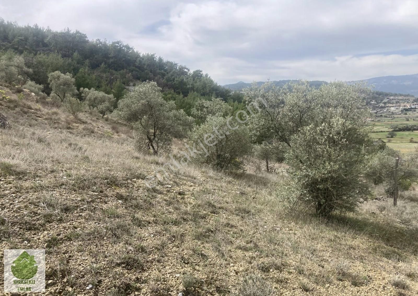 Muğla Menteşe Denizovada 2.233 M² Satılık Tarla... - Görsel 18