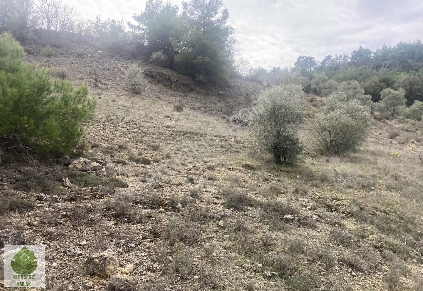 Muğla Menteşe Denizovada 2.233 M² Satılık Tarla... - Görsel 11