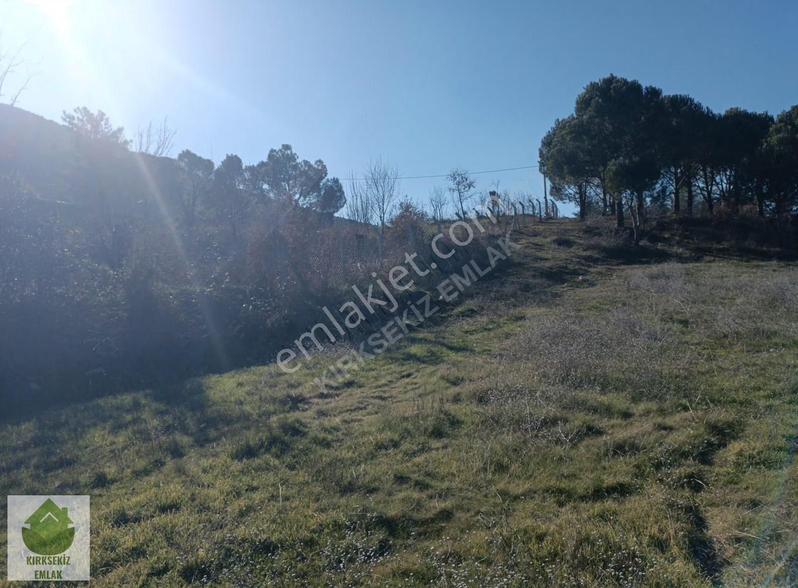 Muğla Menteşe Yerkesik'de İmar Sınırına Yakın 4.935 M² Tarla.. - Görsel 5