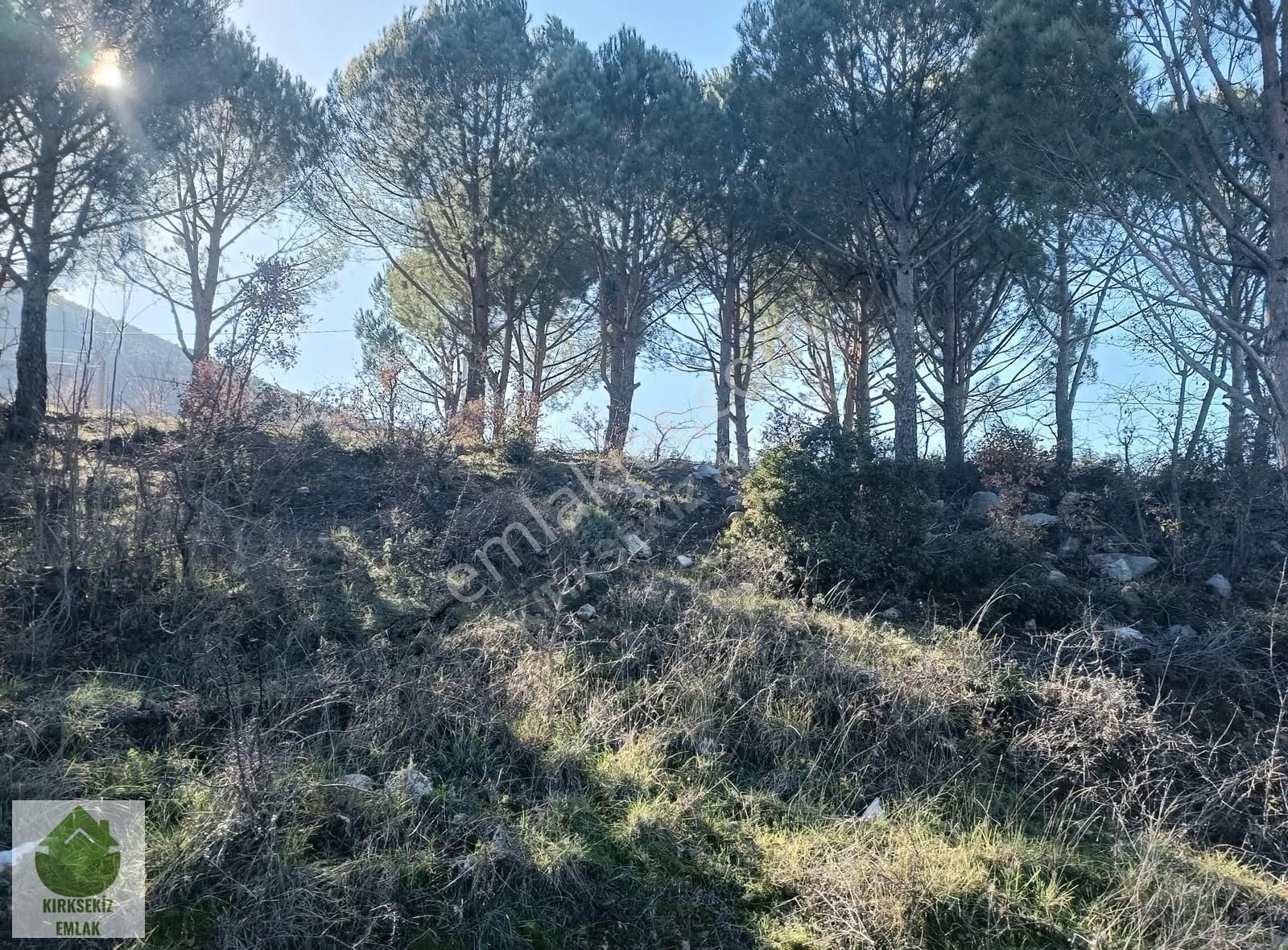 Muğla Menteşe Yerkesik'de İmar Sınırına Yakın 4.935 M² Tarla.. - Görsel 18