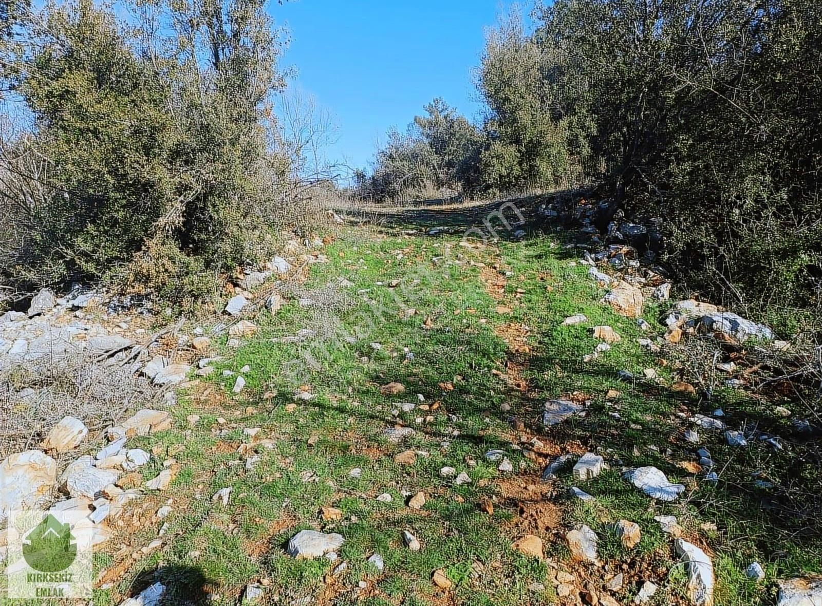 Muğla Menteşe Yerkesik'de Satılık 1080 M² Düz Tarla.. - Görsel 16