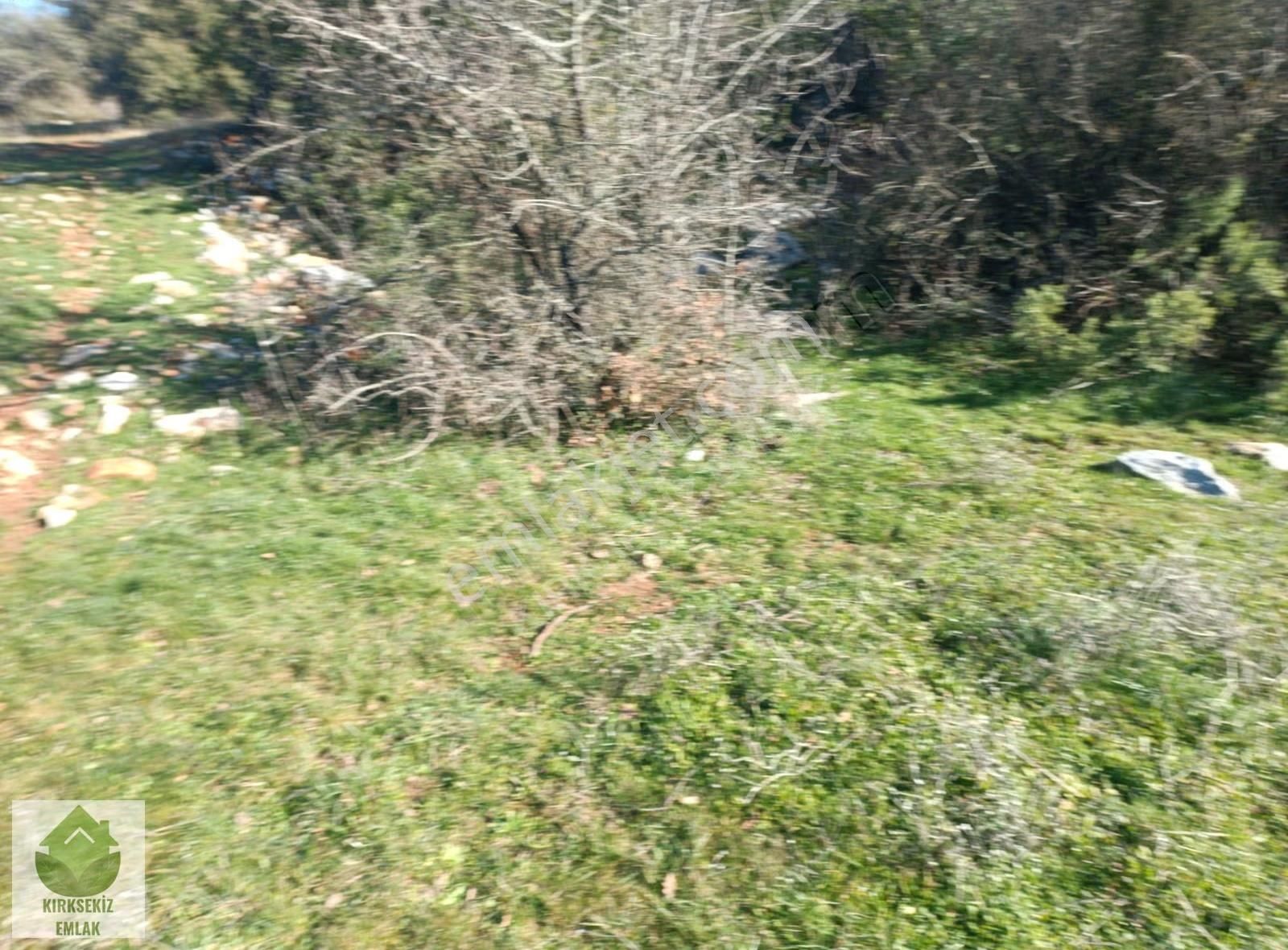 Muğla Menteşe Yerkesik'de Satılık 1080 M² Düz Tarla.. - Görsel 5