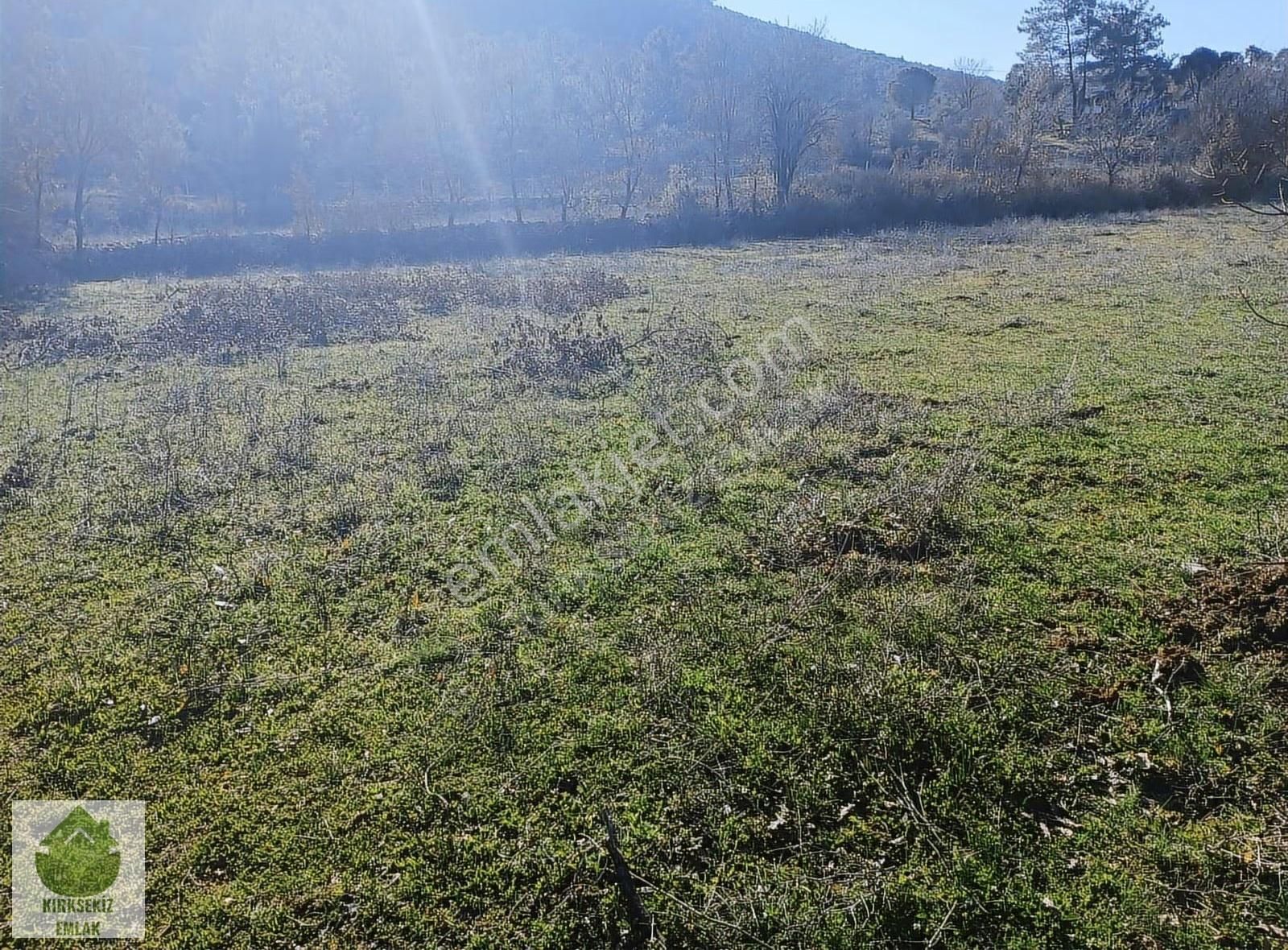 Muğla Menteşe Yerkesik'de İmar Sınırına Yakın 2.776 M² Tarla... - Görsel 3