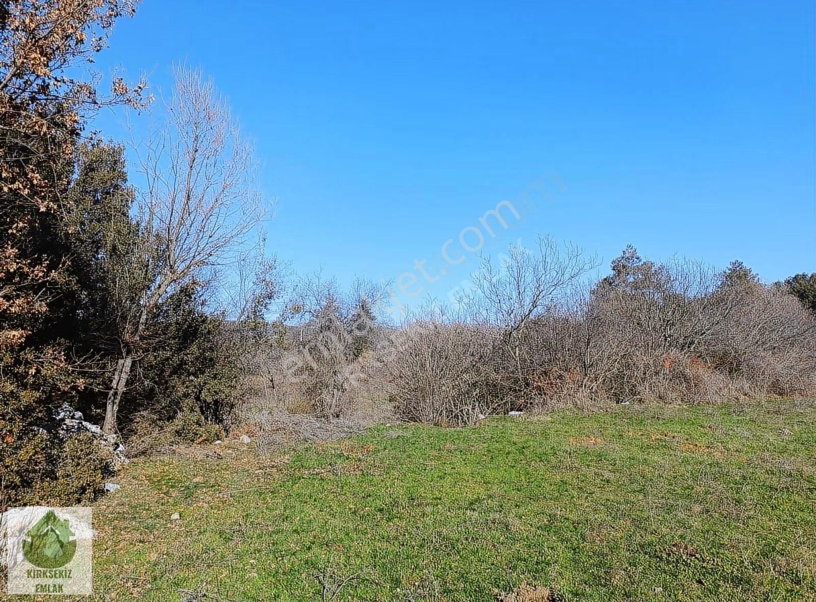Muğla Menteşe Yerkesik'de İmar Sınırına Yakın 2.776 M² Tarla... - Görsel 7