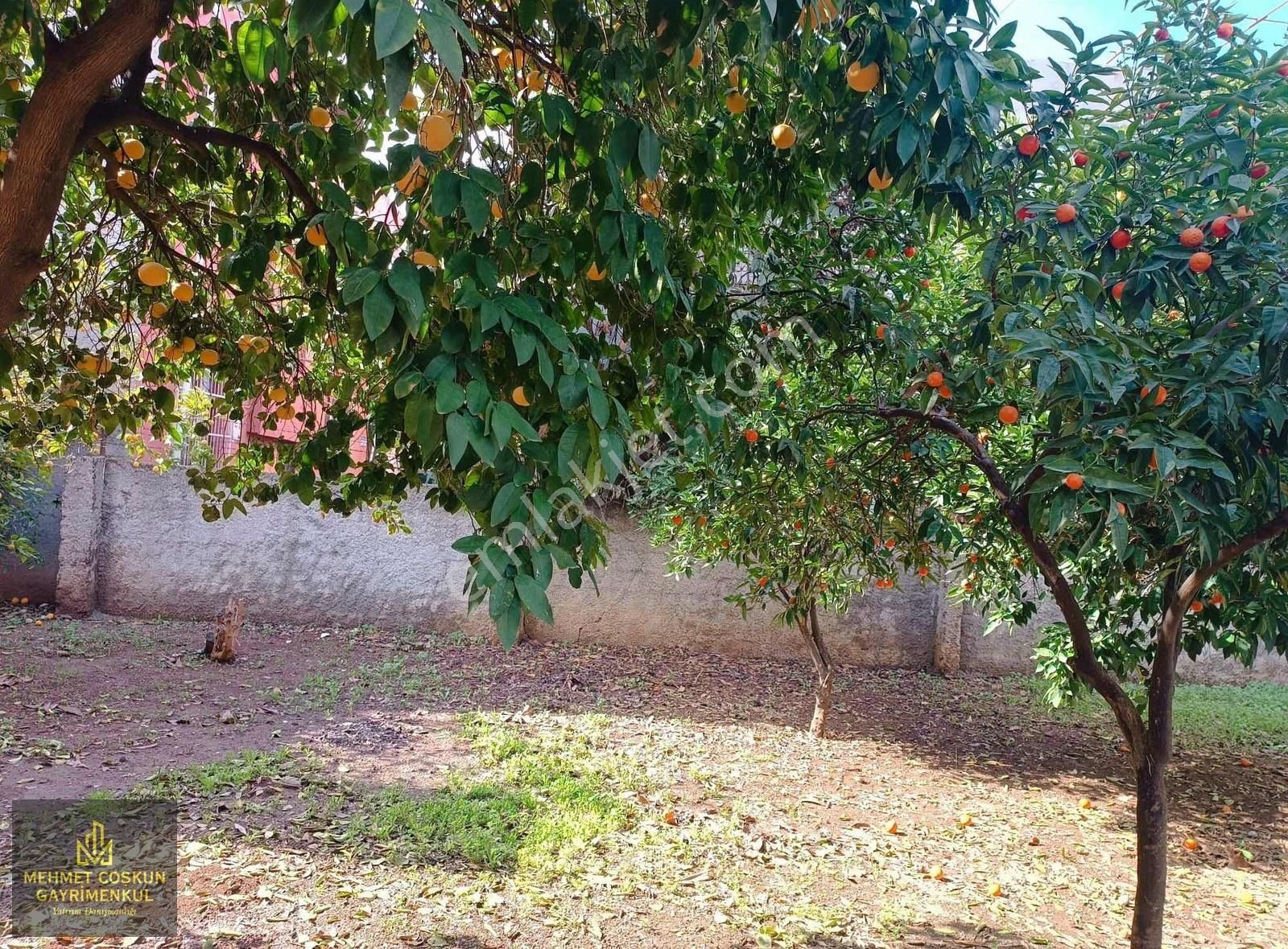 Denizli'de Bahçeli Müstakil Satılık Ev - Görsel 13