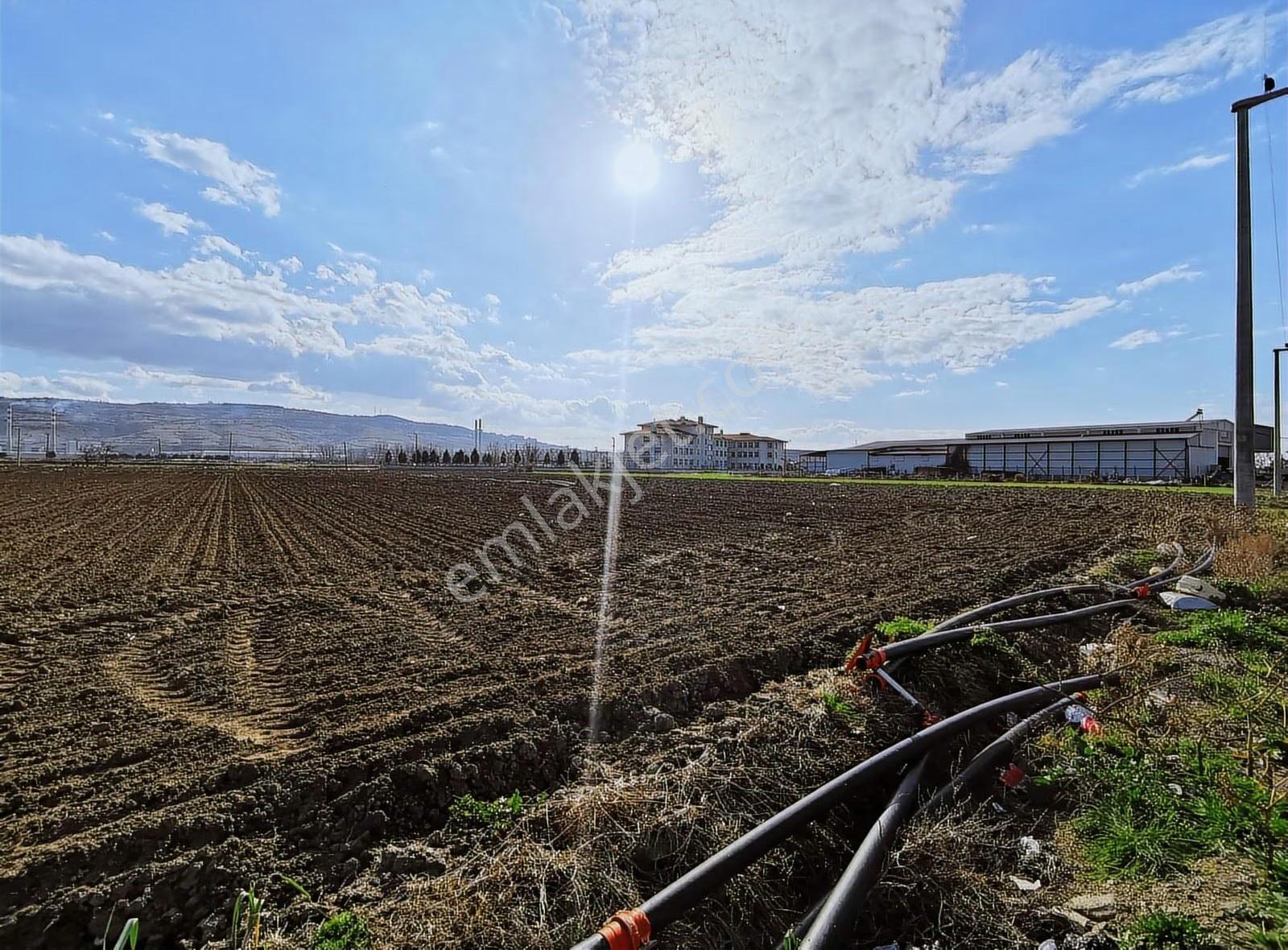 Yenişehir Gündoğan'da Satılık 4817 M² Sanayi İmarlı Arsa - Görsel 19
