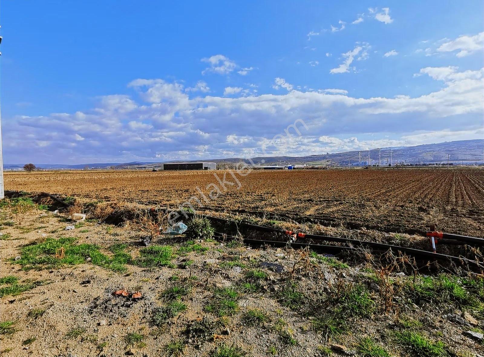 Yenişehir Gündoğan'da Satılık 4817 M² Sanayi İmarlı Arsa - Görsel 25