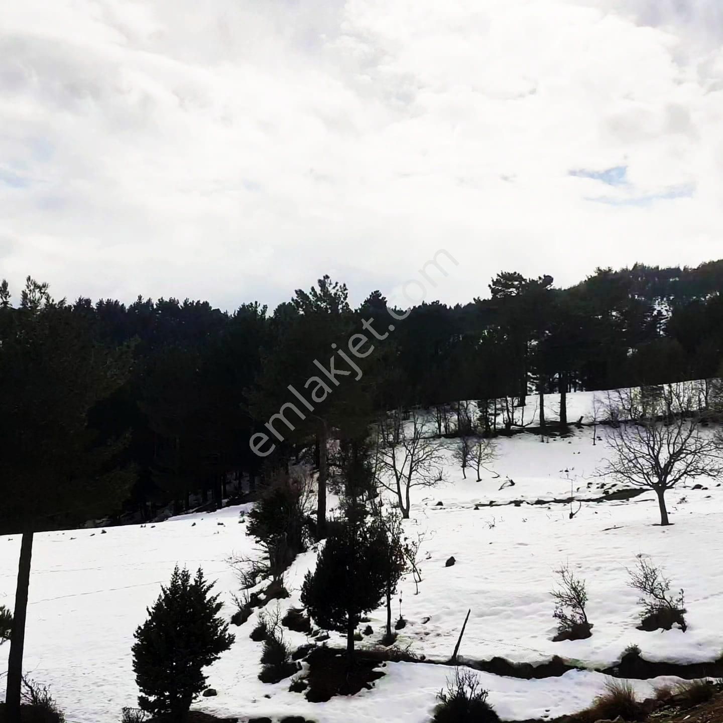 Kar Emlaktan Yeni Konacık Efes Sitesi Yanı 400 M2 Satılık Arsa - Görsel 9