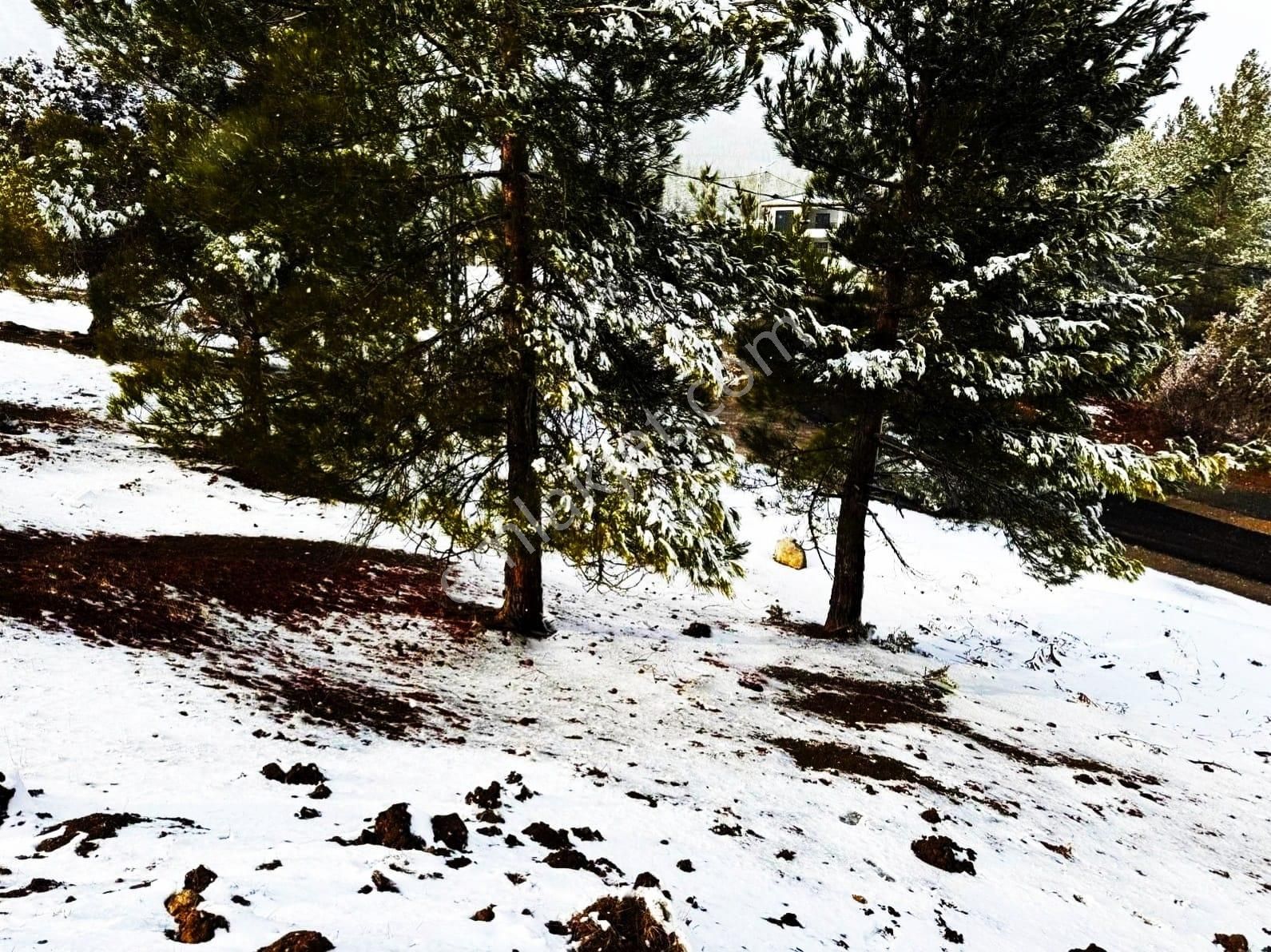 Kar Emlaktan Alpu Yaylasında 500 M2 Satılık Arsa - Görsel 2