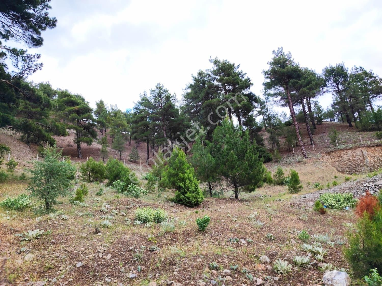 Kar Emlaktan İstiklal Mahallesinde 5 Kata İmarlı 400 M2 Satılık Arsa - Görsel 8